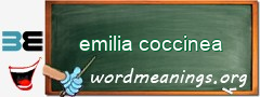 WordMeaning blackboard for emilia coccinea